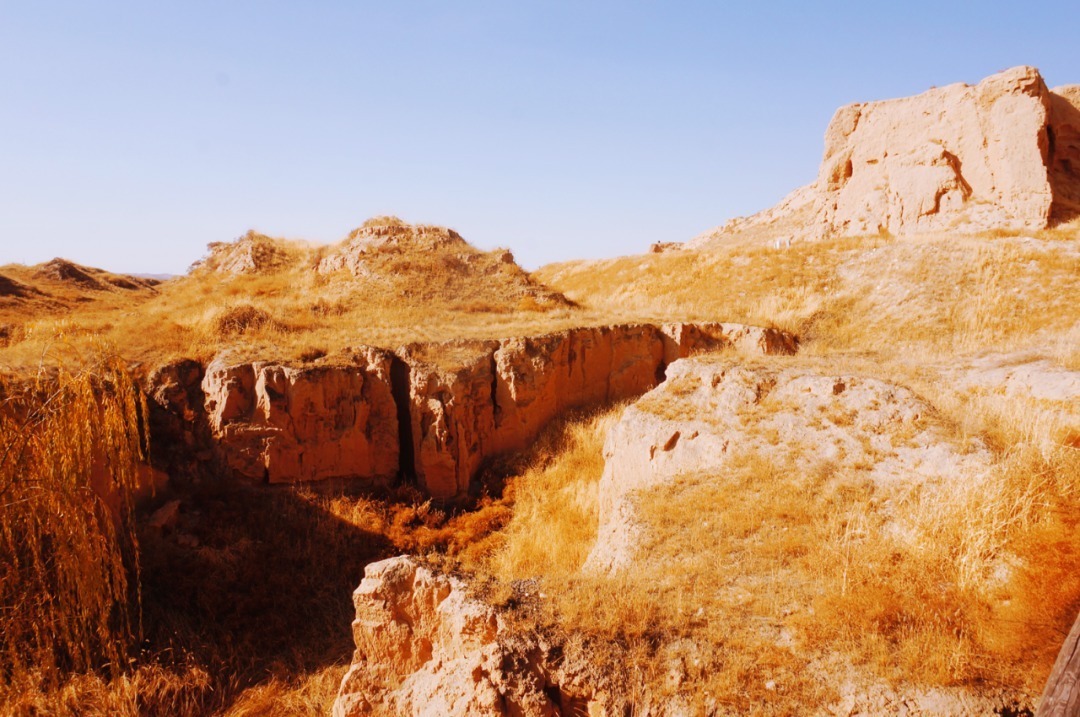 脚踏|一路银川,水洞沟遗址脚踏黄土来,机关四起藏兵洞