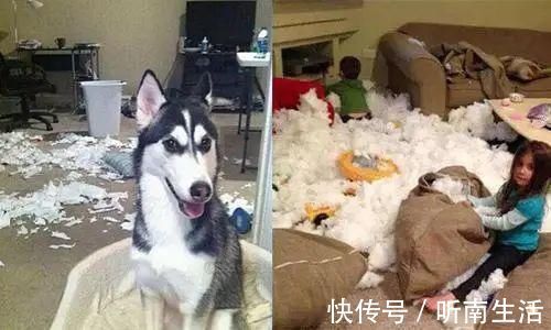 专注力|斯坦福大学研究发现:孩子身上有这3个“怪癖”,一般智力超群