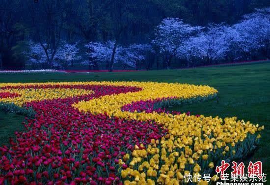 浙江杭州繁花盛放惹人醉