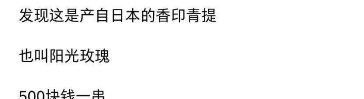 教母|“650元伙食费不够”？前时尚教母苏芒惹争议！明星伙食费究竟有多高