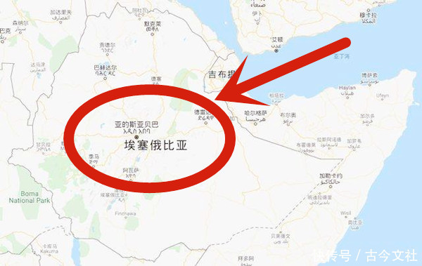 数一数二|非洲小霸王出兵朝鲜,7小时被志愿军打残,战后全国做检讨