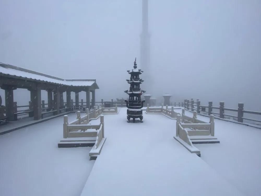  临沂|下雪了！下雪了！临沂今冬第一场雪来了