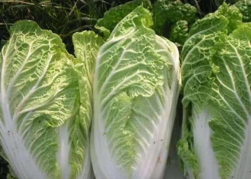 薏仁|血脂增高不用急，谨记多吃几样食物，血脂可能“悄悄”降下去