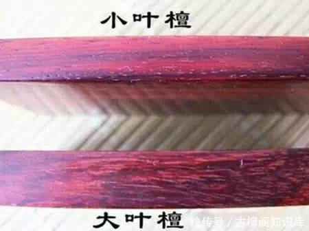 到底|“小叶紫檀”与“大叶紫檀”到底有什么区别?