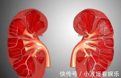 尿液发黄|上厕所时尿液发黄,并伴有一股异味?建议注意下这几个方面