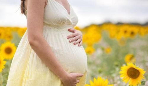 五个月|为什么很多孕妈怀孕四五个月了,还不显怀?三个原因告诉你