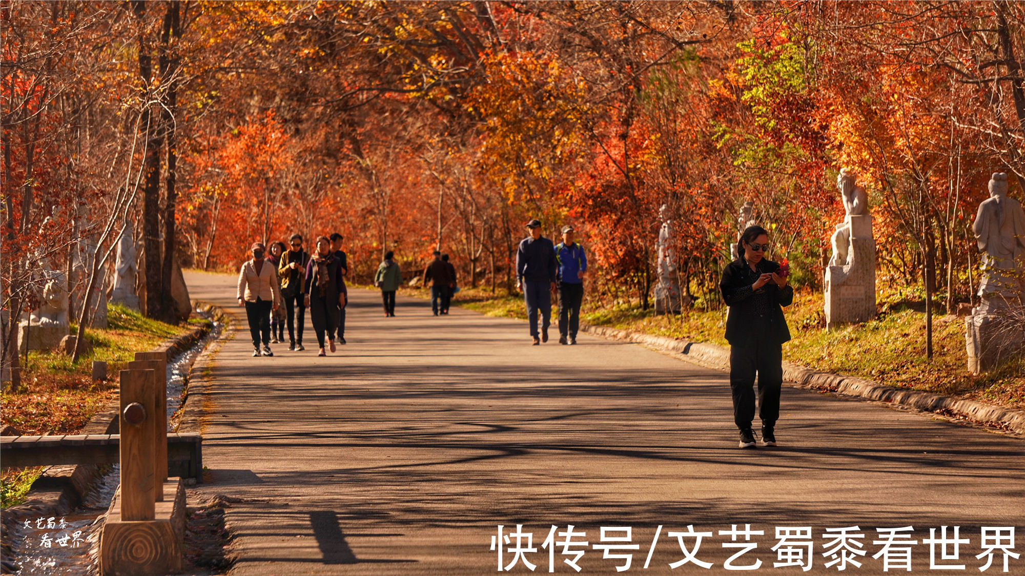 红叶|又快到了去本溪赏枫的季节，枫林谷是我退休以后每年都要去的地方