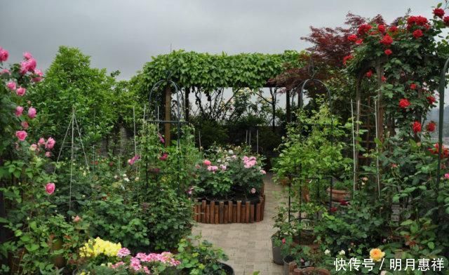 100㎡屋顶打造“花园露台”,网友直呼太壮观了,仿似人间仙境