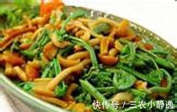 农村|农村山里的一种野菜,营养价值高,尝一次不容易,见到全部买下