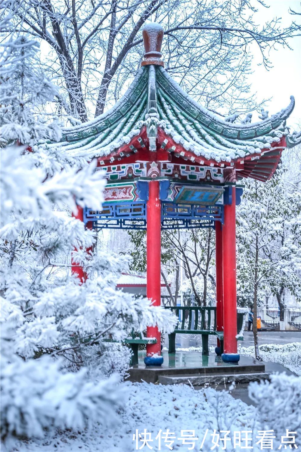 西安翻译学院：银装素裹雪景美如画