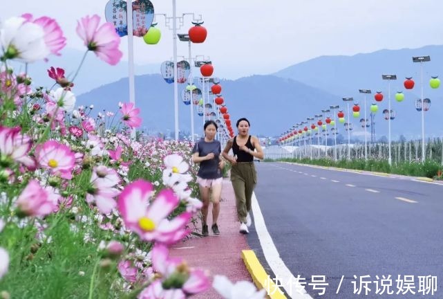 格桑花|嶲州陌上格桑花开，君可静静赏矣。