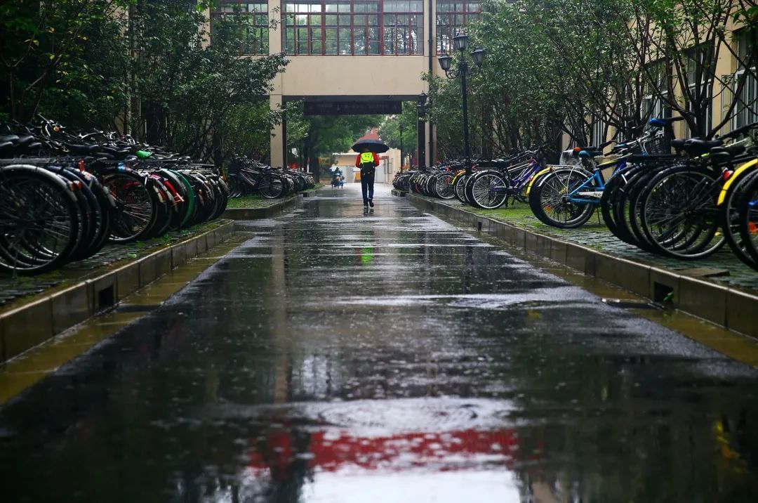 我“雨”最美校园，一起云赏沪上46所高校雨中即景