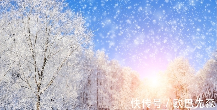 扈江离&君子之德，性赛冬雪