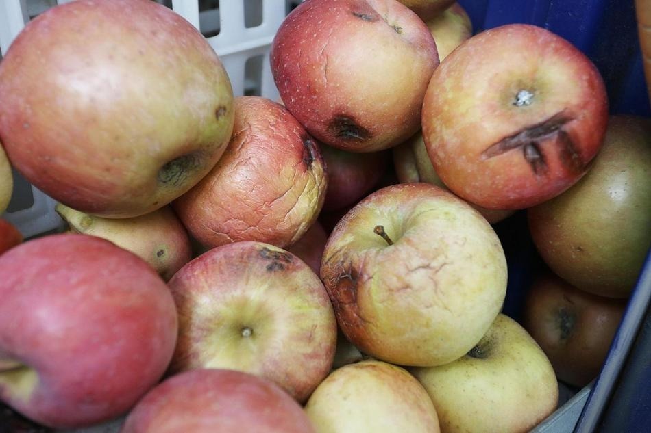 致癌物质|这几种食物不要吃了,吃出胃癌你就后悔,很多人还傻傻的不知道
