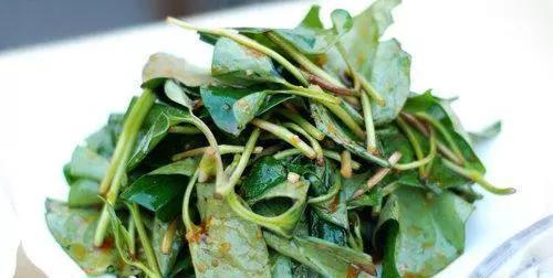 冬病夏治|女人养肝就是抗衰老，农村3种野菜，保肝护肝，排毒养颜，抗衰老