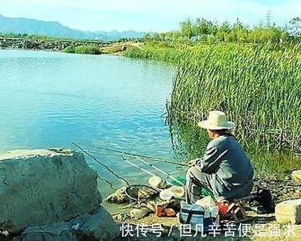 水域|淡水鱼死也逃不掉的3大规律，爱钓鱼的友友记准了，很容易爆护