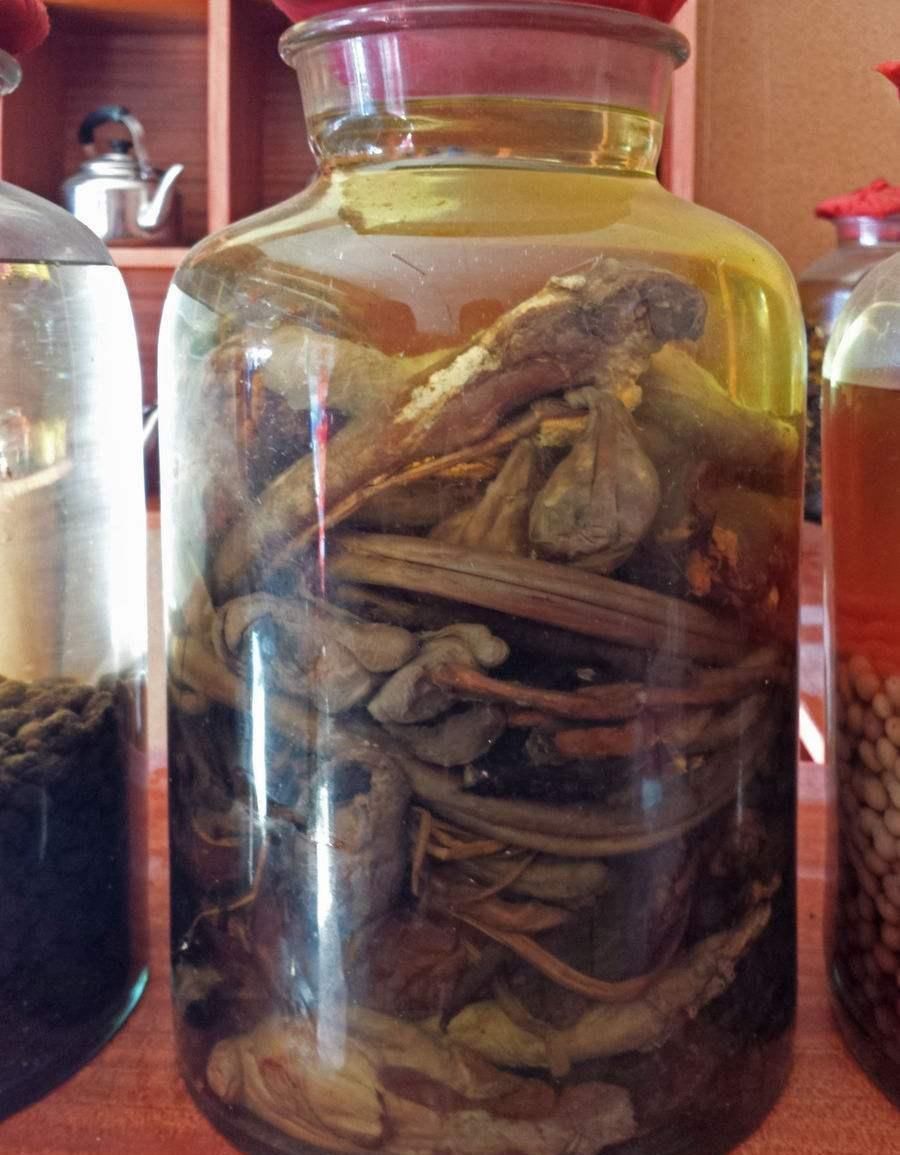 鹿茸片|男人越吃越精神, 提升雄激素的好东西, 男人平时要多吃