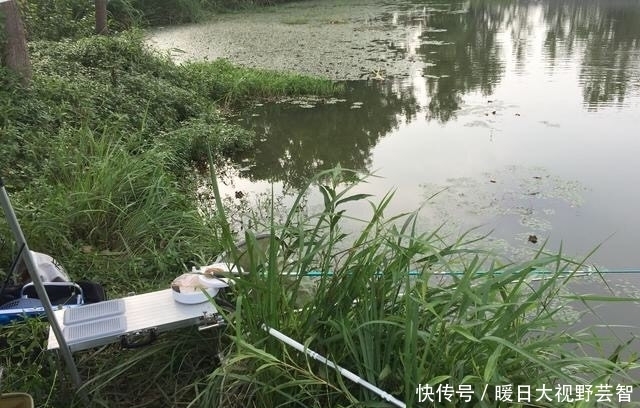 钓鱼|怎样野钓小白条?这个问题可能老钓手都不知道怎么回答,值得收藏