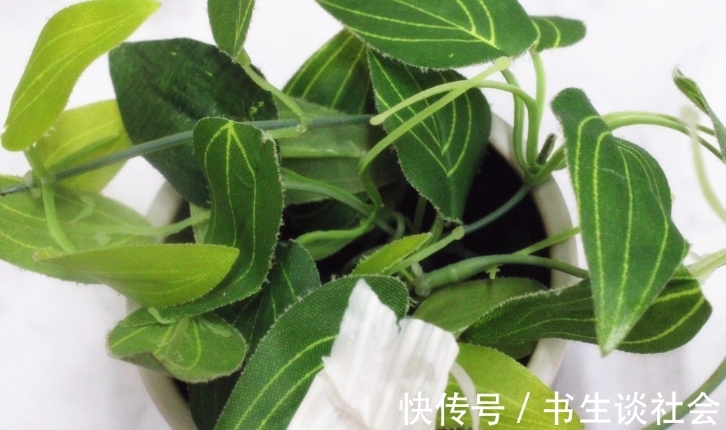 大蒜皮是好宝贝，别再扔掉了，教您大蒜皮的3个用法，简单实用