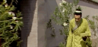 巴结|巴结王熙凤找工作,核心信息为何撒谎?王熙凤当真不知吗?