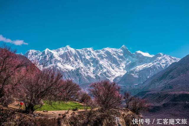 看遍国内花海，唯独林芝桃花、金川梨花，这个3月不容错过！