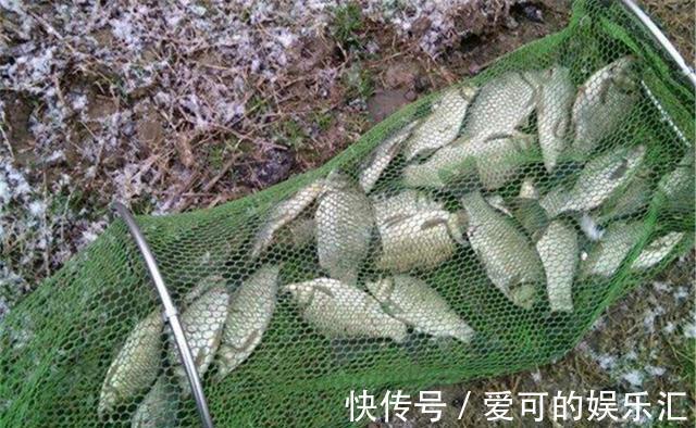 冬季钓鱼,常用这5个秘密招数,大板鲫连竿上,别人抢不过你