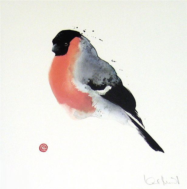 水彩艺@水彩艺术家卡尔·马尔滕斯画的鸟,惟妙惟肖!