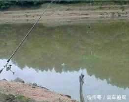 除了鱼获之外,钓到这些奇葩东西,才算真正的钓鱼人