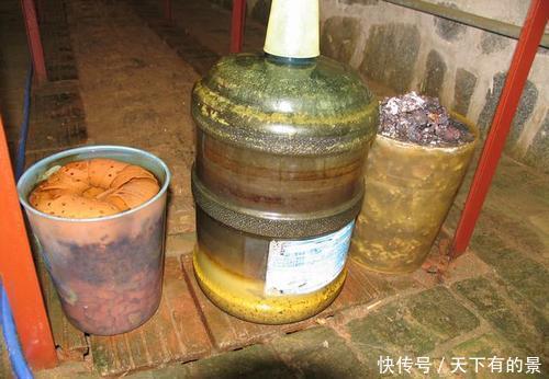 张大爷养花,用“2种水”轮流浇,没想到,1年养出漂亮“小花园”