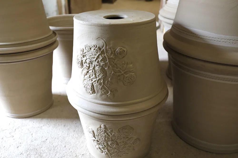  看完这个，想把家里花盆丢了