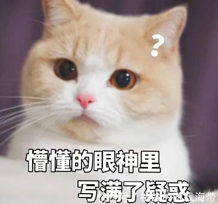 清淡|医生告诉你,为什么你吃得清淡也不瘦