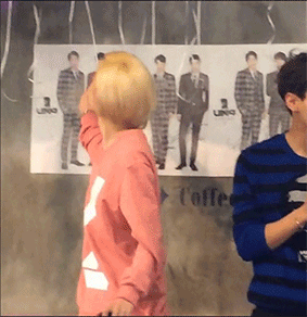 小狼|王一博一定有在很多节目里收的小玩具，羊毛毡小狼也被拿回家了