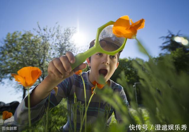 暑假请不要带孩子去旅行！让万千父母反思的好文