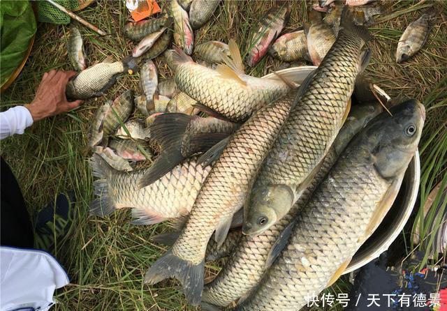 黑坑老板有这几种行为以后别再去,妥妥的坑你没商量