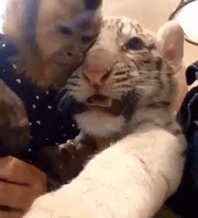 |搞笑GIF趣图:坐轮椅之前,在地铁上这我也经常么玩!