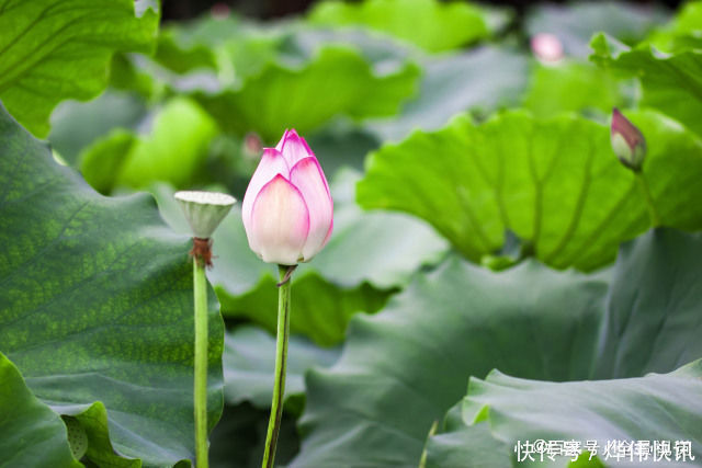 人体|高血压的根源是盐吗生活中还有这些隐蔽的“帮凶”,你知道吗