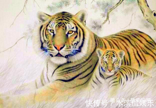 为人父母|父母是几个属相,是孩子人生中的好老师和引路人,影响力极大