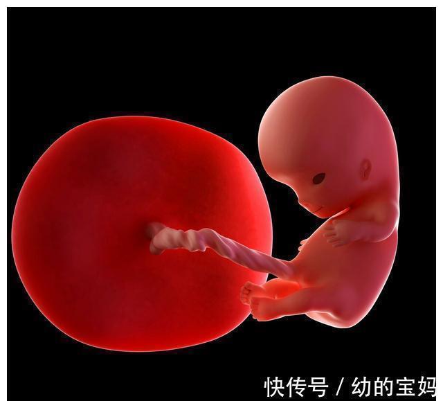 牙龈|孕妈妈得了牙周炎千万不能忍,小心对胎儿有影响