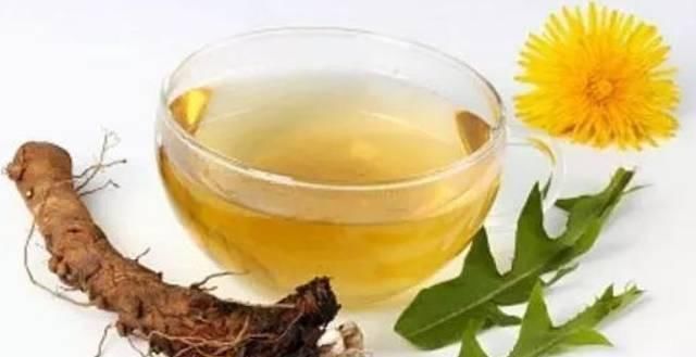 高二女生,因一壶蒲公英水,被送入医院,蒲公英泡水,有4大禁忌