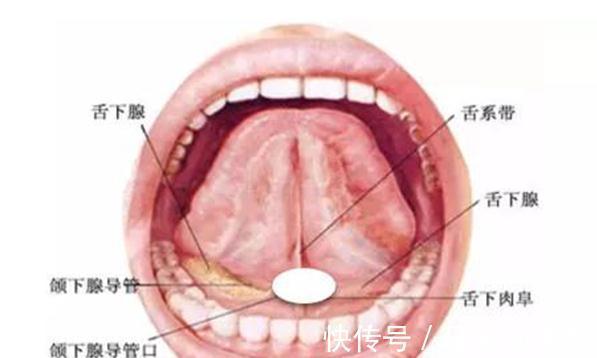 心绞痛|心脏病就吃丹参片?你可能用错药了,医生教你冠心病如何正确治