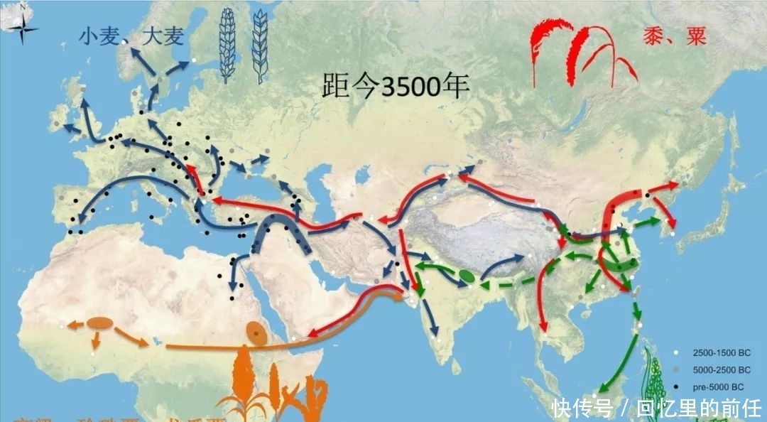 重磅|史前文化交流再添重磅证据:仰韶彩陶现身印度河哈拉帕文明!