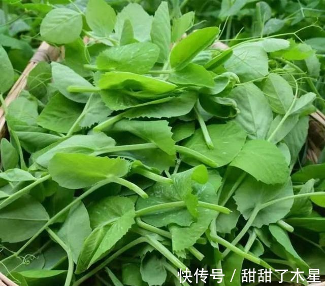 菜心|当妈的要知道,冬天有6种食材不会打农药,营养丰富,做给孩子吃!