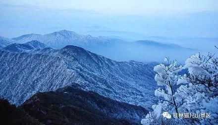 美成|下雪啦！广西多地出现雪景雾凇景观，美成仙境！附赏雪攻略