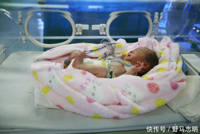 乙肝疫苗|为什么新生儿身高都是50厘米,是护士填错了吗背后的答案太暖心