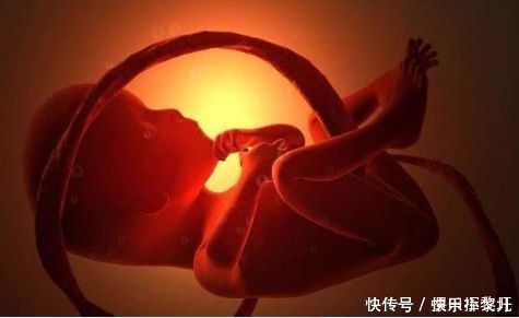 怀孕|婴儿“胎动”一跳一跳,是手动还是脚动啊?可能和你想的不一样