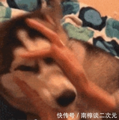 2021恋爱综艺推荐