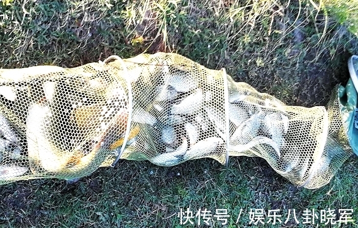 钓友|每次钓鱼都用这个方法,从来没有“空军”过,屡试不爽