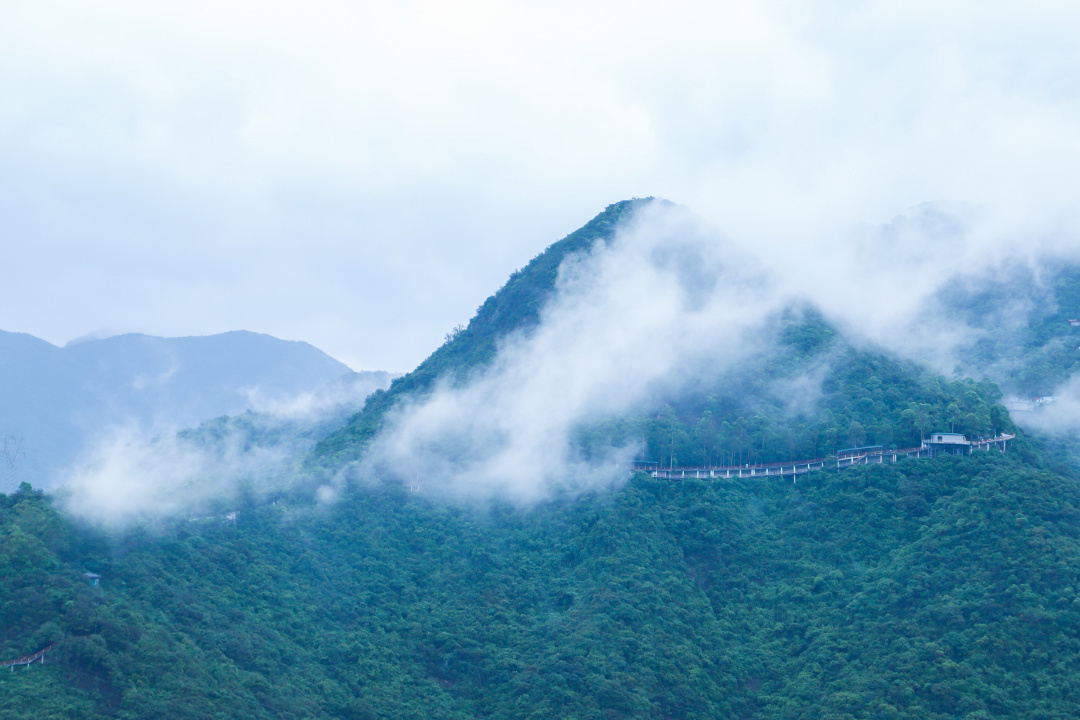 重阳|观音山重阳登高敬老行，品素食、许心愿…多重好礼不停歇！