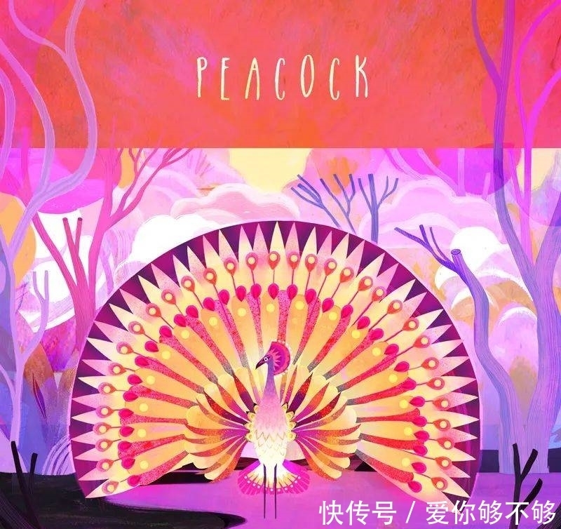 插画|三组各具特色的动物插画,看完很治愈~