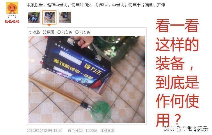 拼多多|电鱼设备泛滥，淘宝拼多多被“点名”！生态保护不容再等待